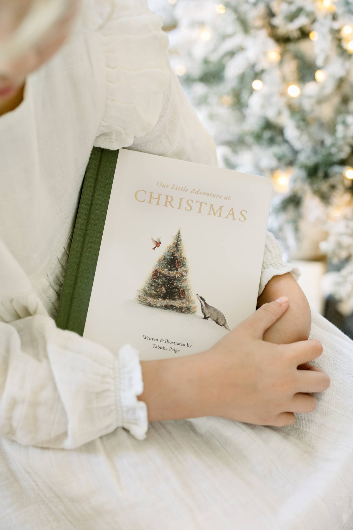 Our Little Adventure at Christmas Book (Baby's First Christmas)