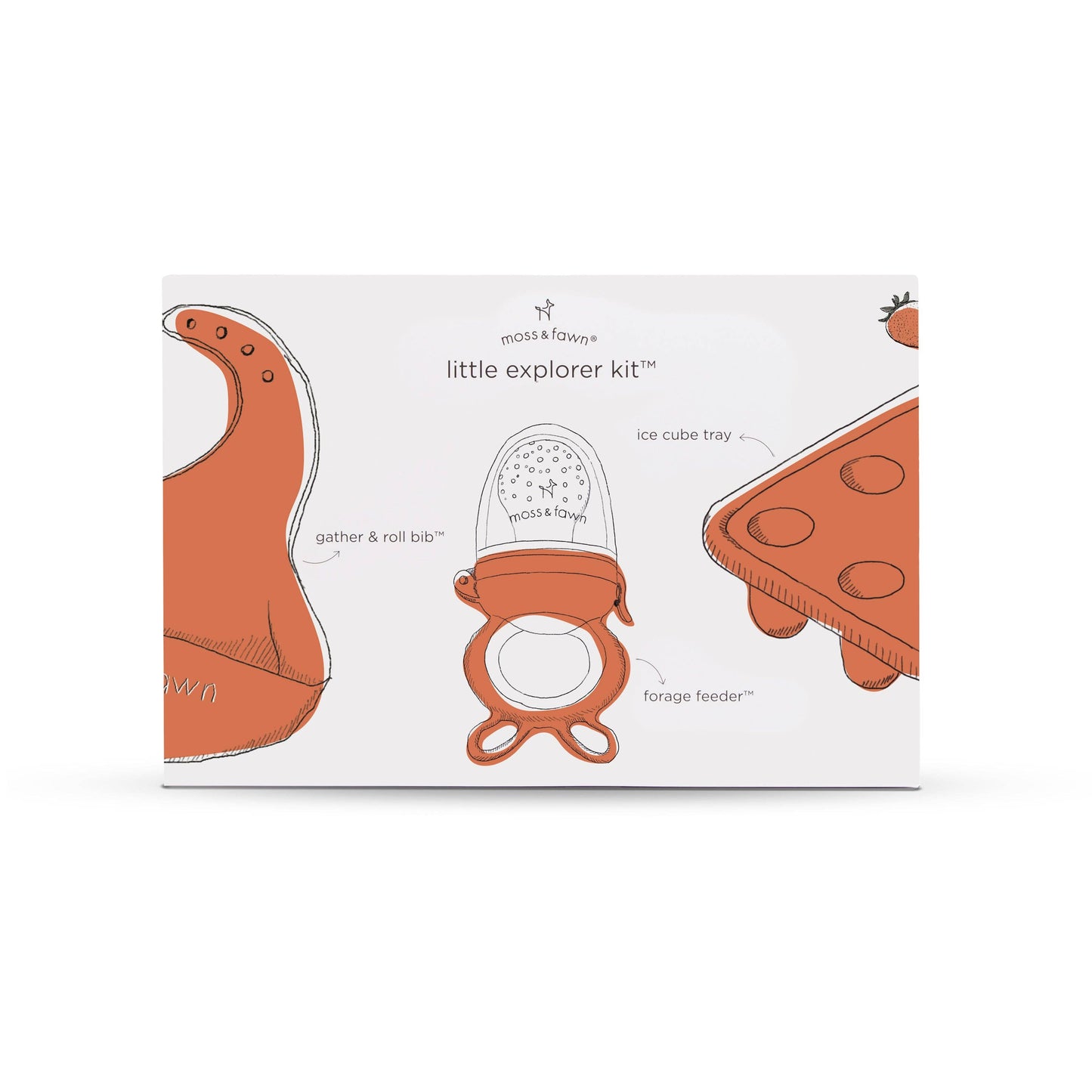 Little Explorer Kit *TOP SELLER*: Foliage