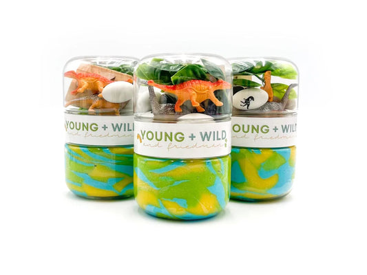 Grab & Go Dough Jar | Dinosaur
