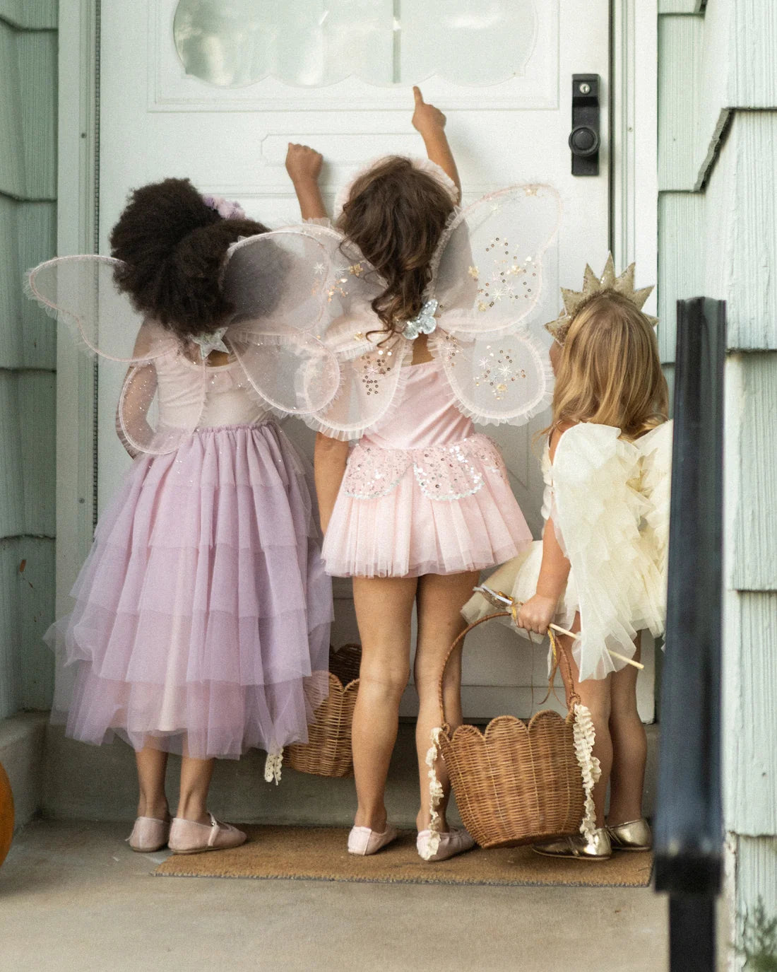 Wings | Sugar Plum Shimmer