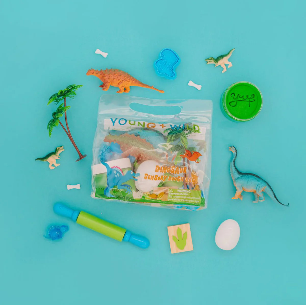 Dinosaur Sensory Dough Bag