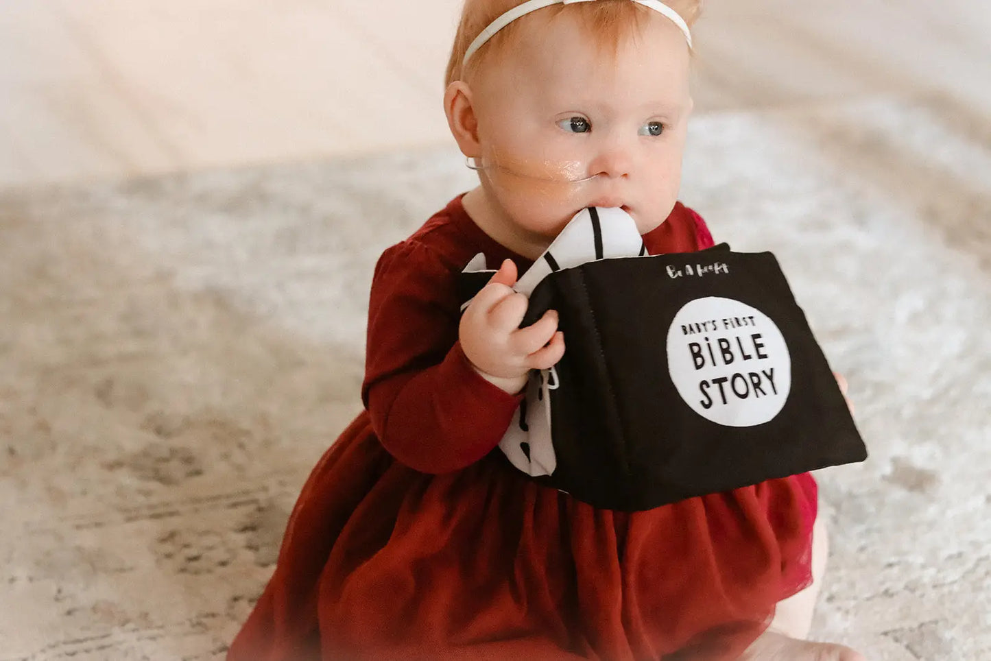 Baby's First Bible Story Crinkle Book