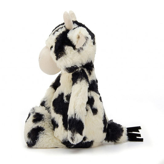 Bashful Calf | Medium