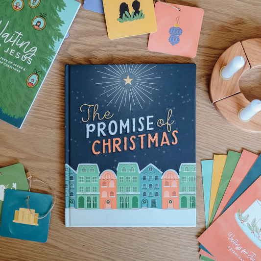The Promise of Christmas Book