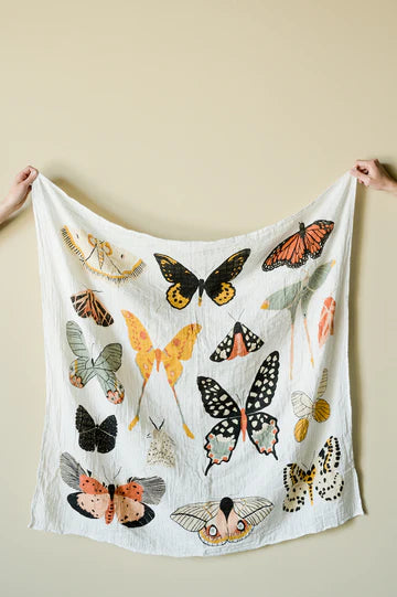 Swaddle | Butterfly Collector