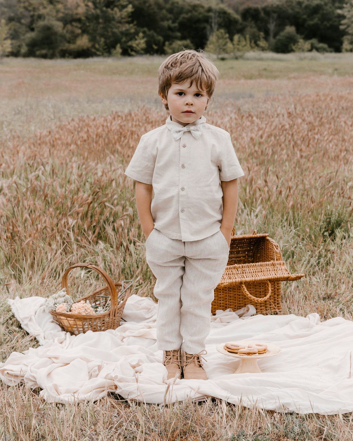 Sebastian Dress Pant | Pebble Linen