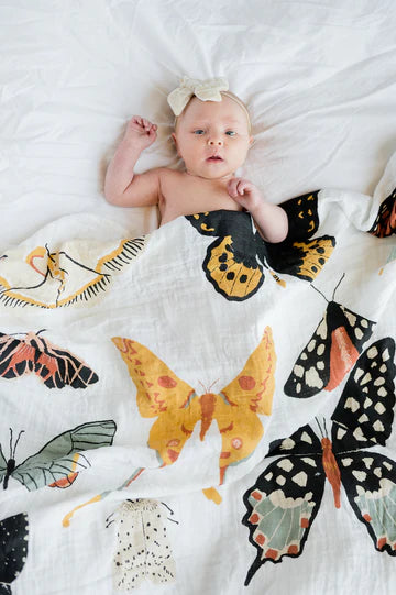 Swaddle | Butterfly Collector